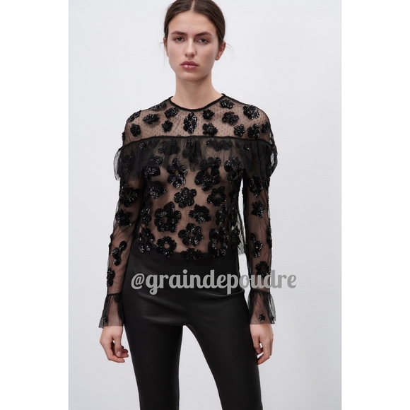 Rare! Zara Limited Edition Beaded Sequin Floral Tulle Ruffle Top XS S - Picture 1 of 8